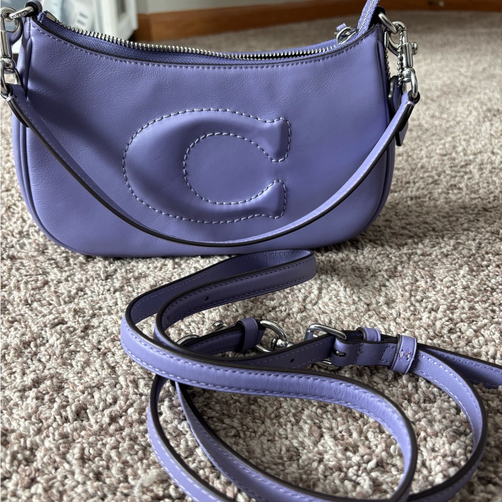 Coach Purple Leather Crossbody Teri Bag